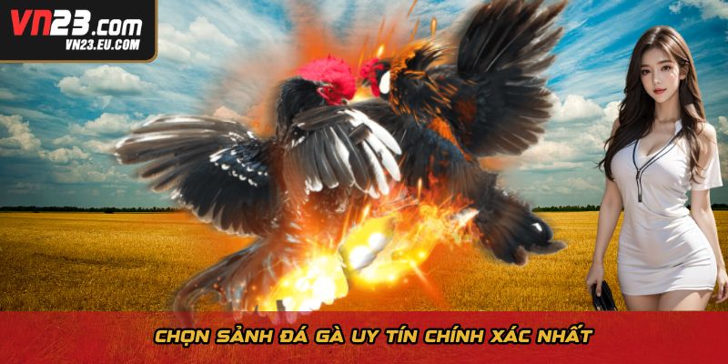Chọn sảnh đá gà uy tín chính xác nhất