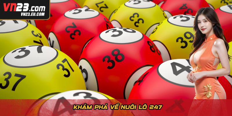 Khám phá về nuôi lô 247